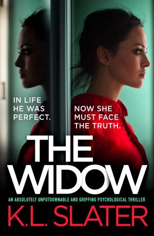The Widow by K.L. Slater PDF Free Download