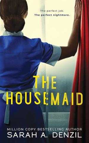 The Housemaid by Sarah A. Denzil PDF Free Download